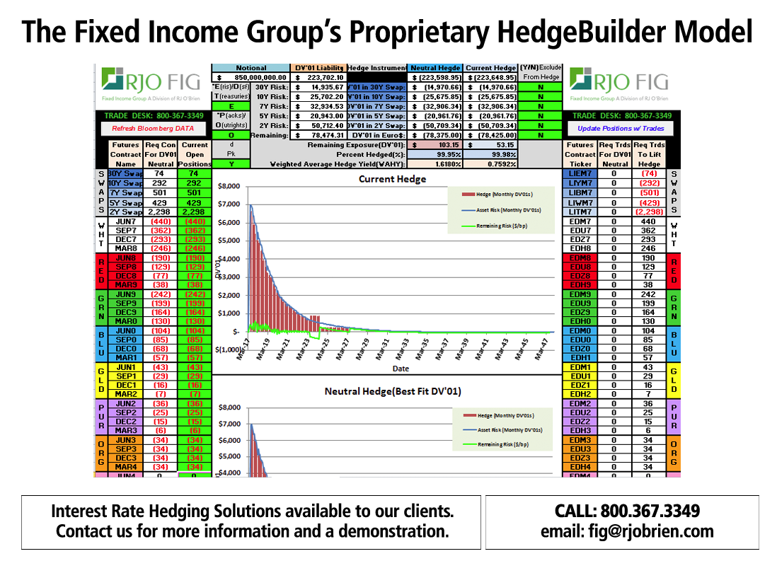 HedgeBuilder hedgebuilder graphic